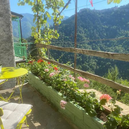 A Ca' Da Zia Villa Corte  ภายนอก รูปภาพ
