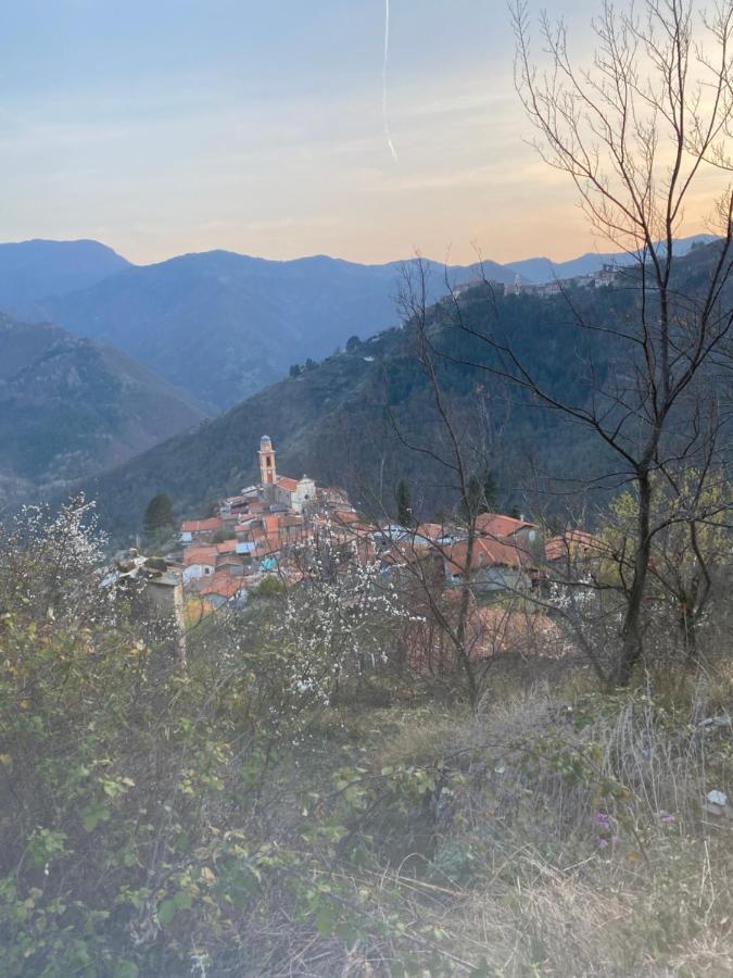 A Ca' Da Zia Villa Corte  ภายนอก รูปภาพ