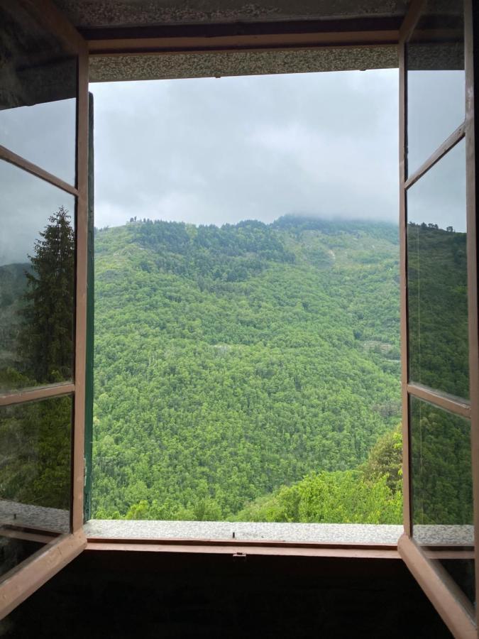 A Ca' Da Zia Villa Corte  ภายนอก รูปภาพ